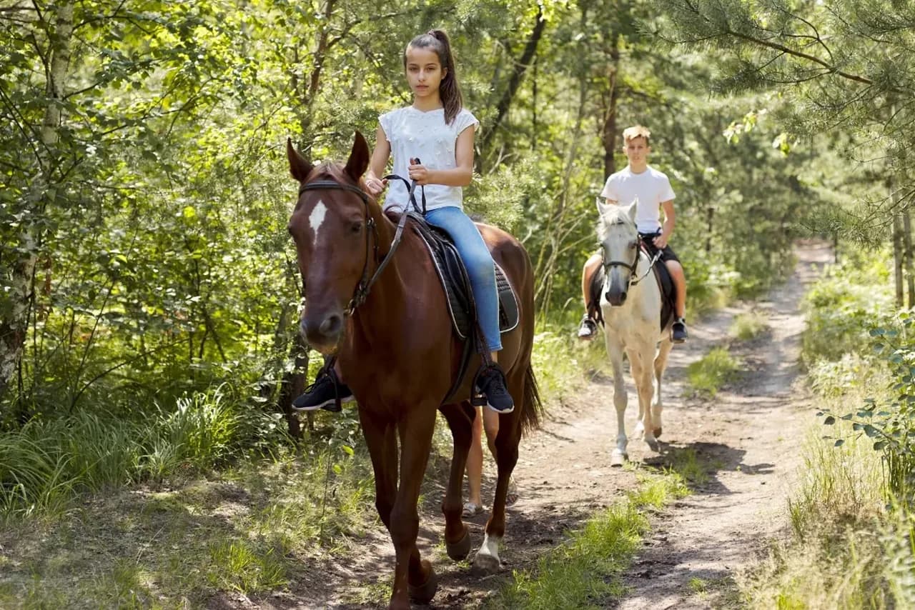 3 Body Awareness Tips to Improve Your Time in the Saddle