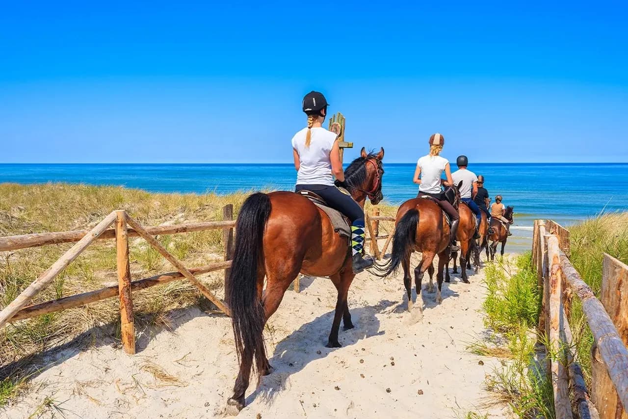 The Life Lessons Horses Teach Families