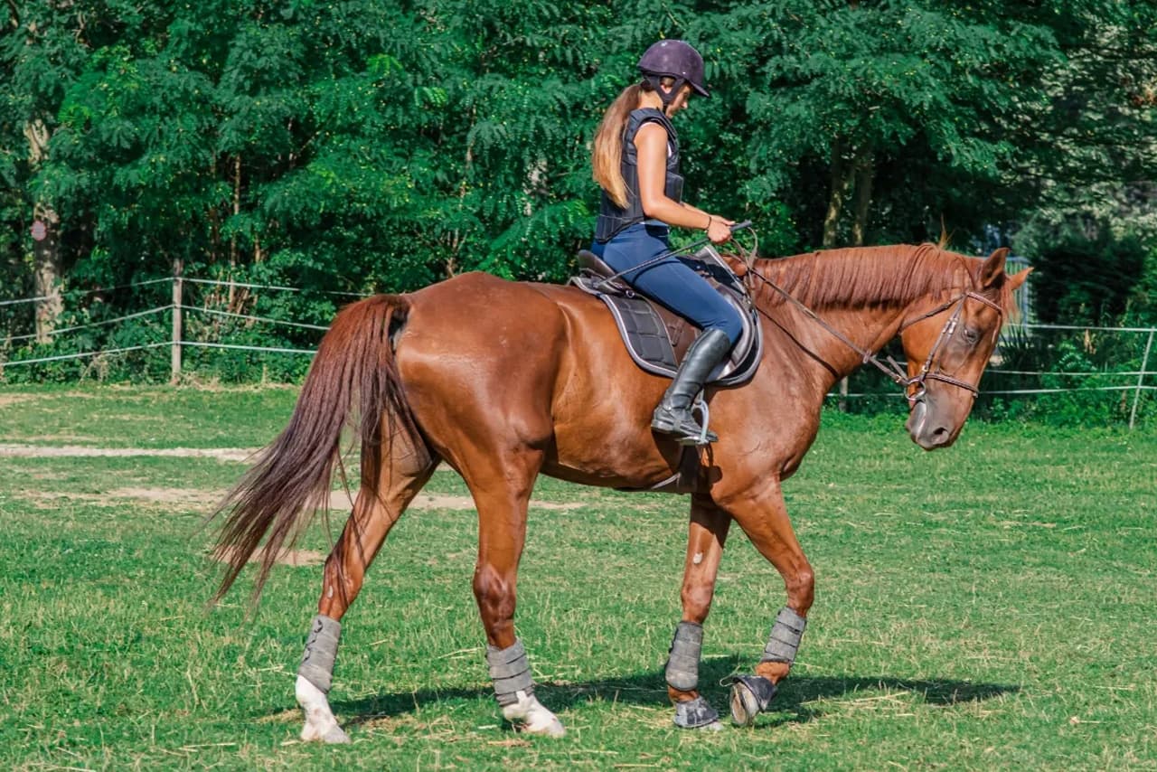 The Surprising Role of Breathing and Posture in Harmonizing with Your Horse