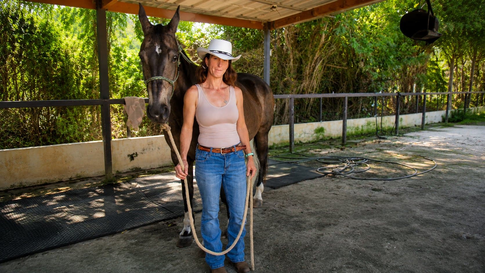 Why Horses of Every Breed Benefit From Trust-Based Professional Training