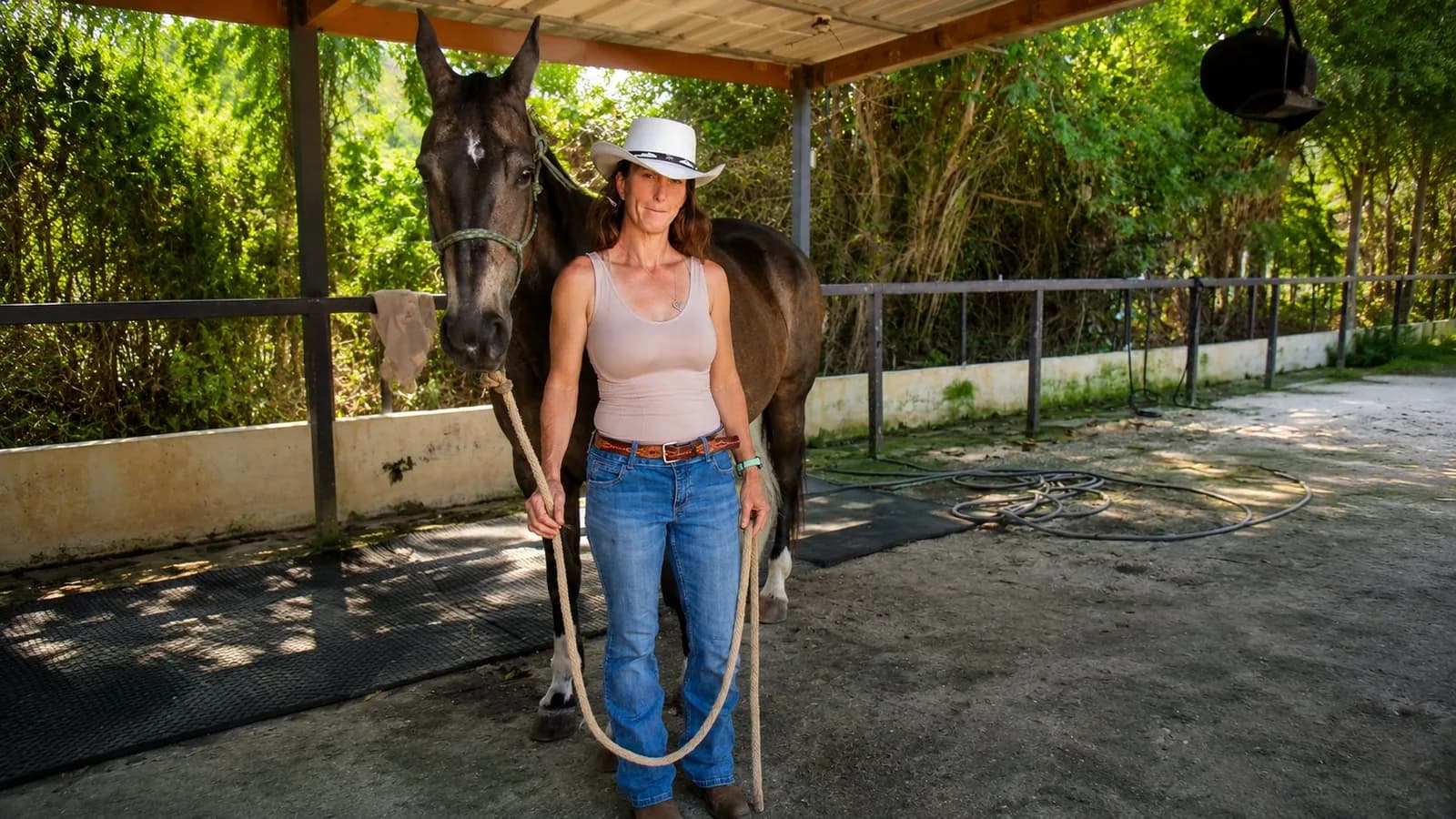 Why Horses of Every Breed Benefit From Trust-Based Professional Training